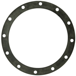 Abig Flange seal 0069060030