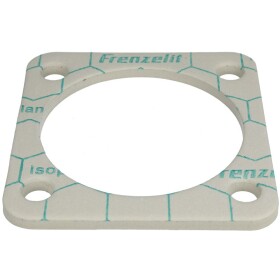 Oertli Flange gasket 100195