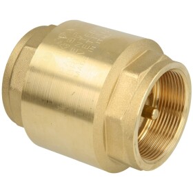 Europa&reg; check valve 2&quot; IT both ends