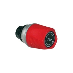 Elm leblanc Valve - sanitary 7 bar 87167616020