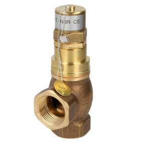 pressure maintaining valve 1