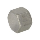 Stainless steel screw fitting cap 1&quot; IT octagon