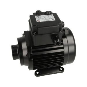 Moteur 90 W, pour DE, avec inteerupteur et socle de sécurité