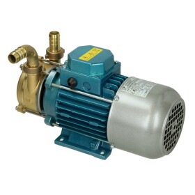 Electric pump ECC 24/20, 24 V naturally aspirated