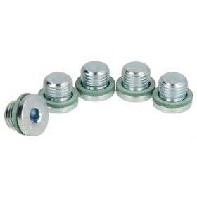 Dungs screw plug set with sealing ring G&frac14;&quot; (5...