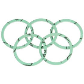 Sieger Flange gasket 1&quot; set 5 pieces 7100198