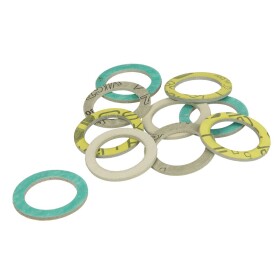 Wolf Gasket 1&quot; 10 pieces 8601931